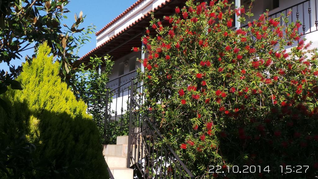 Skiathos Studios Panorama Luaran gambar